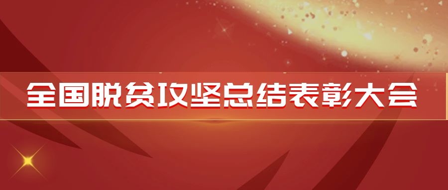 税务系统6个集体受到党中央、国务院表彰！来看看他们的先进事迹