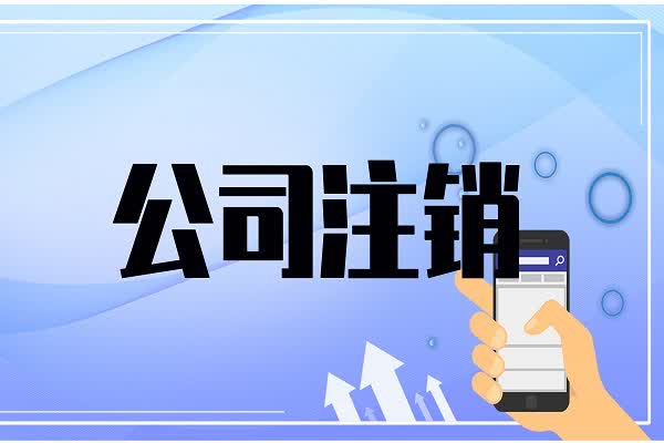 南京公司注销法律责任及常见问题解析