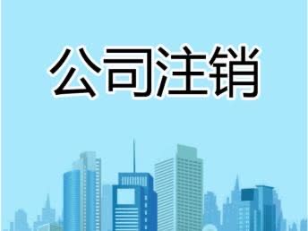 南京建邺区公司注销代办服务：南京薪算盘代账公司专业解决方案